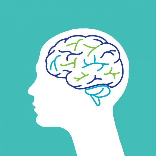 CERVEAU