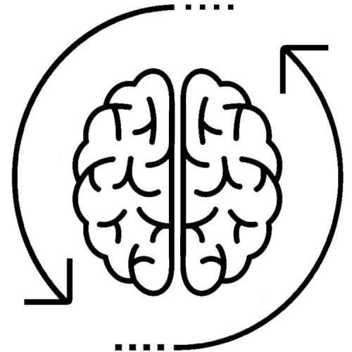49277936 - set of human brains.